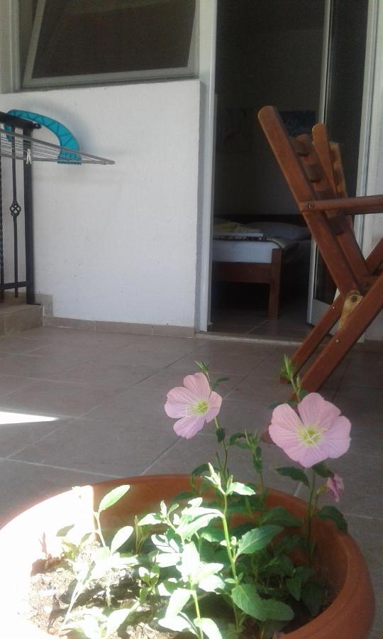 Villa Renesans Dojran Exteriör bild